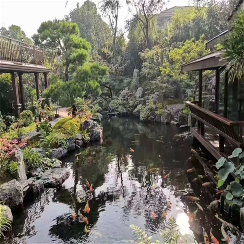 天津小庭院假山鱼池